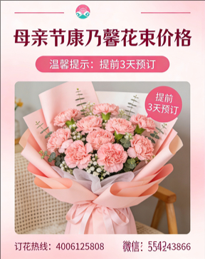 荆州沙市区花店母亲节康乃馨花束