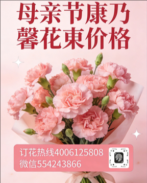 荆州沙市区花店母亲节康乃馨花束
